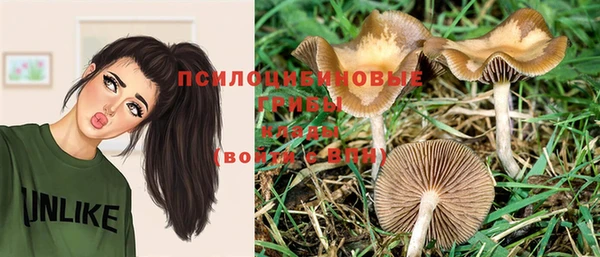 дмт Балабаново