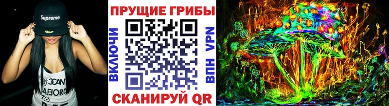 Псилоцибиновые грибы Cubensis  Купить закладки  Лагань 